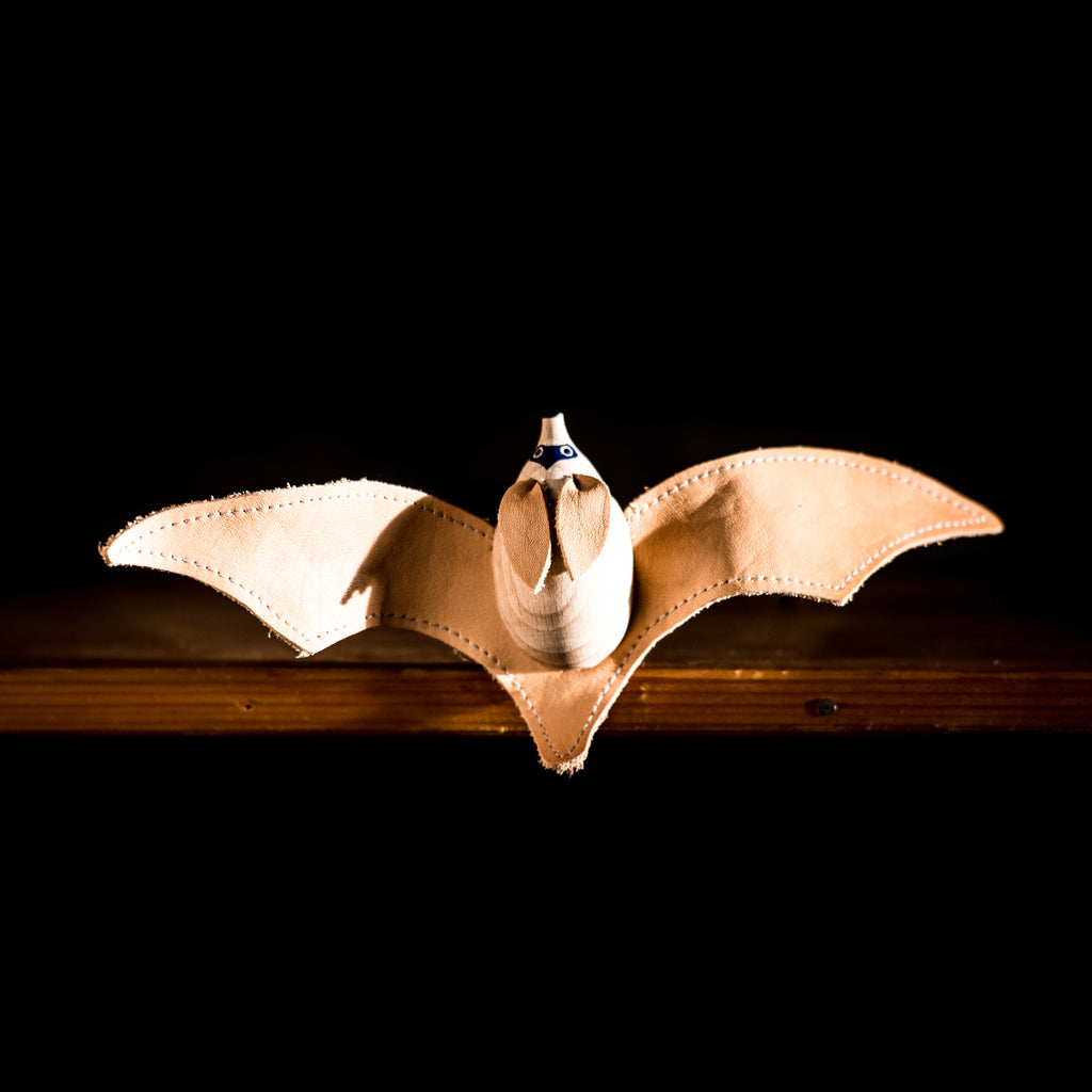 Big-eared Bat