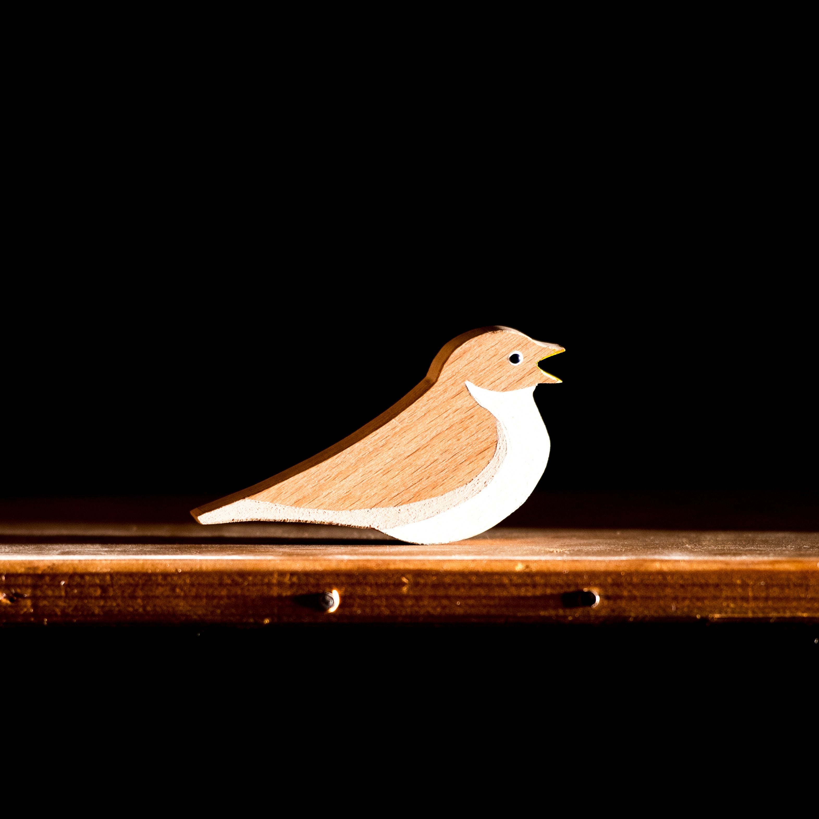 Animaux nocturnes