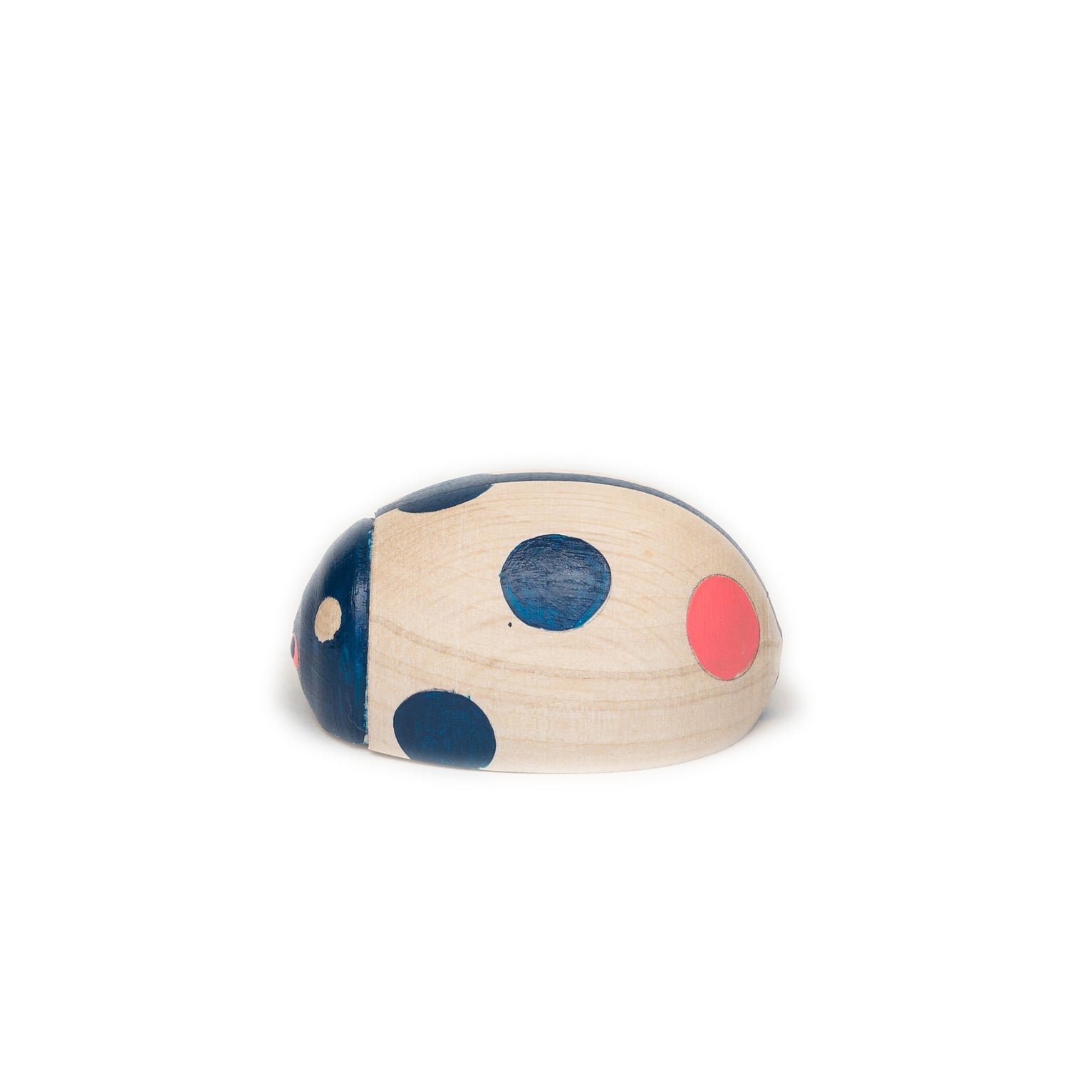Eperfa wooden beetle, ladybird
